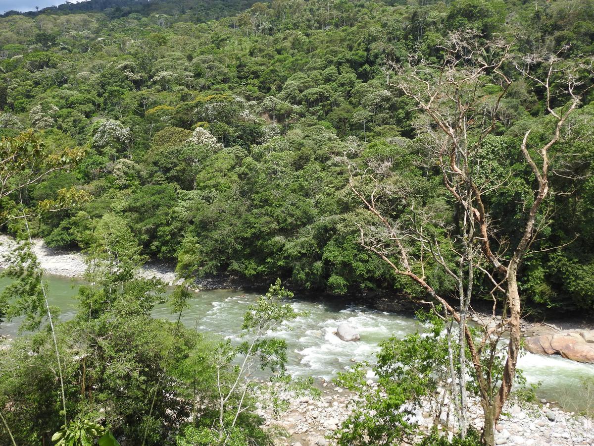 Posada Turistica Dantayaco Мокоа Экстерьер фото